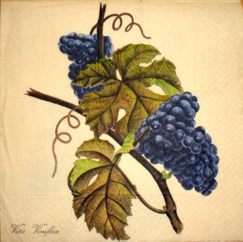 064 Grapes - 3-ply - Home Fashion